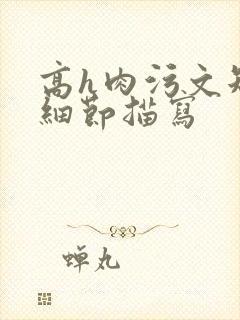 高h肉污文短文细节描写