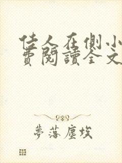 佳人在侧小说免费阅读全文无弹窗