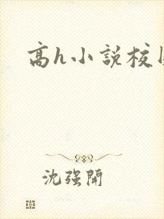 高h小说校园封面