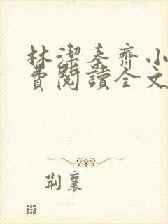 林洁秦齐小说免费阅读全文最新章节封面