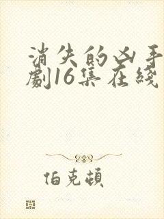 消失的凶手电视剧16集在线观看