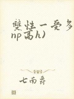 双性一受多攻(np高h)