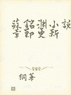 苏铭渊小说最新章节更新