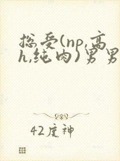 总受(np,高h,纯肉)男男