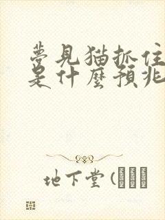 梦见猫抓住老鼠是什么预兆