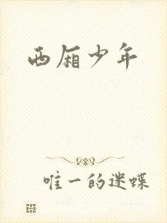 西厢少年