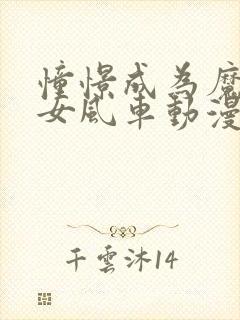 憧憬成为魔法少女风车动漫