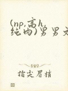 (np,高h,纯肉)男男文