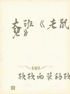 大班《老鼠嫁女儿》