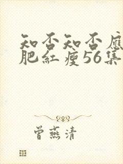 知否知否应是绿肥红瘦56集在线观看