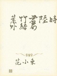 叶竹君陆时琛番外结局