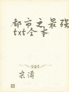都市之最强狂兵 txt全本