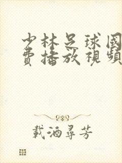 少林足球国语免费播放视频