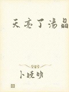 天亮了汤晶锦封面