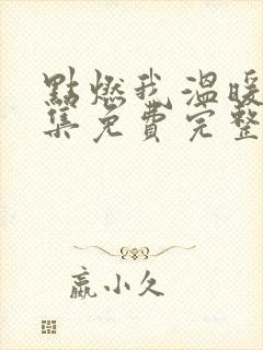 点燃我温暖你全集免费完整版38集