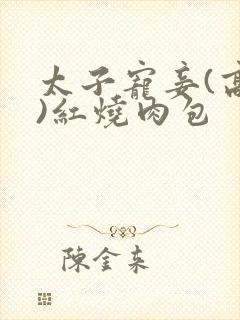 太子宠妾(高肉)红烧肉包