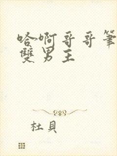 哈啊哥哥笔趣阁双男主