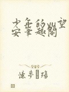 少年的yu望王安笔趣阁