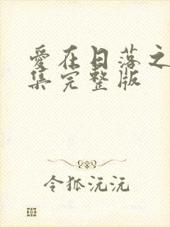 爱在日落之前全集完整版封面