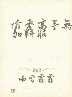 偷香高手无删减加料版