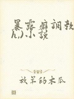 暴露癖调教(高h,)小说