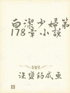 白洁少妇第1一178章小说