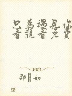 只为遇见你在线看观看免费完整版封面