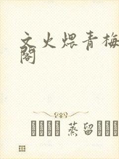 文火煨青梅笔趣阁