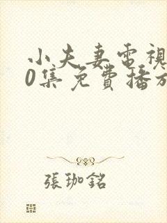 小夫妻电视剧40集免费播放