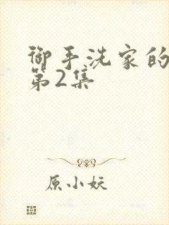 御手洗家的破洞第2集封面