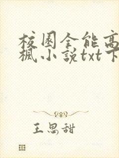 校园全能高手季枫小说txt下载