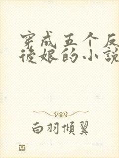 穿成五个反派的后娘的小说