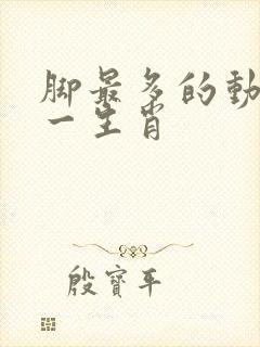 脚最多的动物猜一生肖封面