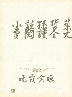 小说孙哲叶巧免费阅读全文封面