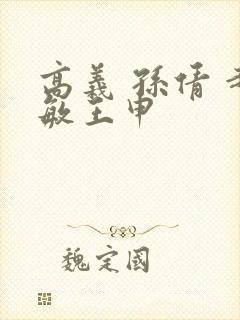 高义 孙倩 赵敏王申