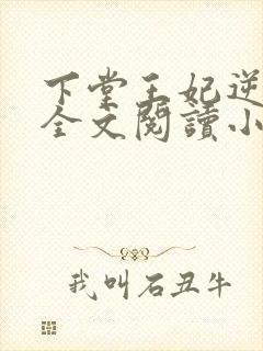 下堂王妃逆袭记全文阅读小说封面