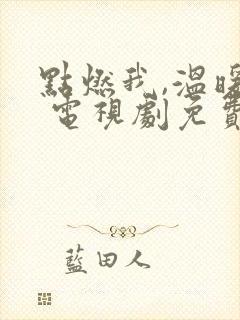 点燃我,温暖你 电视剧免费观看封面