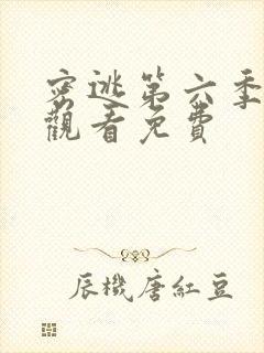 密逃第六季在线观看免费