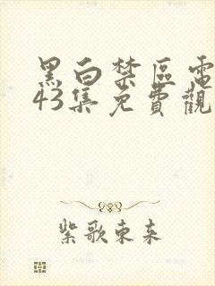 黑白禁区电视剧43集免费观看