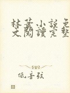 林萧小说免费全文阅读完整版