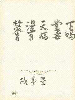 禁漫天堂下载后会有病毒吗封面