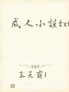 成人小说txt封面