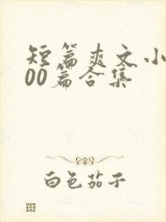 短篇爽文小说500篇合集封面