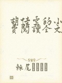 胡佳云的小说免费阅读全文无弹窗