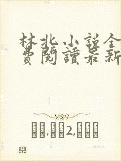 林北小说全文免费阅读最新章节