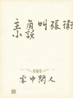 主角叫张卫东的小说