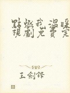 点燃我温暖你电视剧免费完整