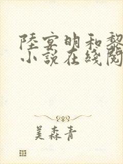 陆宴明和黎甄的小说在线阅读封面