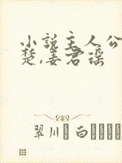 小说主人公叫叶楚,姜君瑶封面