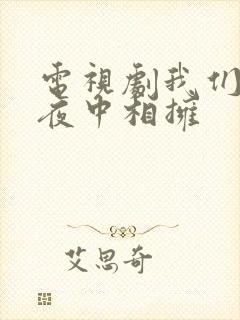 电视剧我们在黑夜中相拥